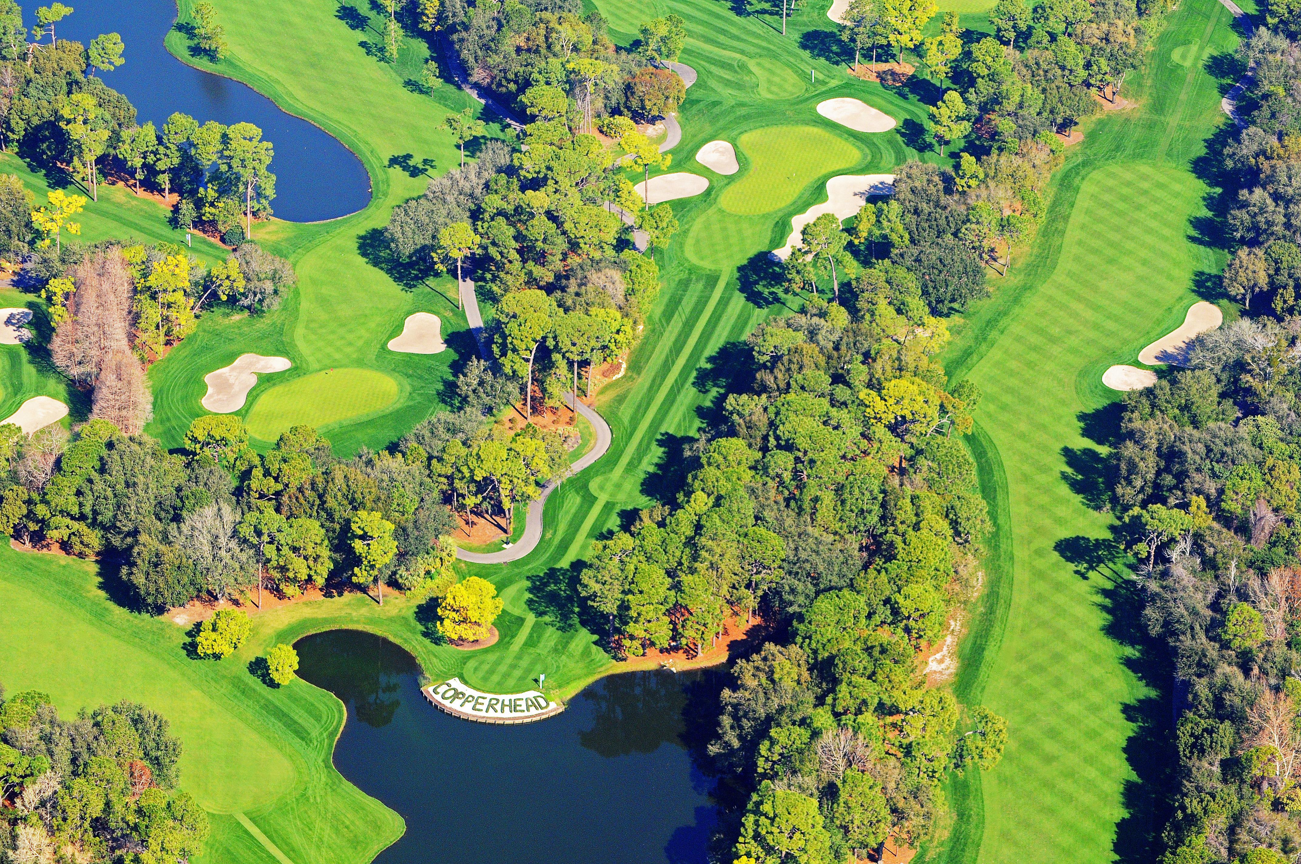 Innisbrook Resort Palm Harbor Exterior photo